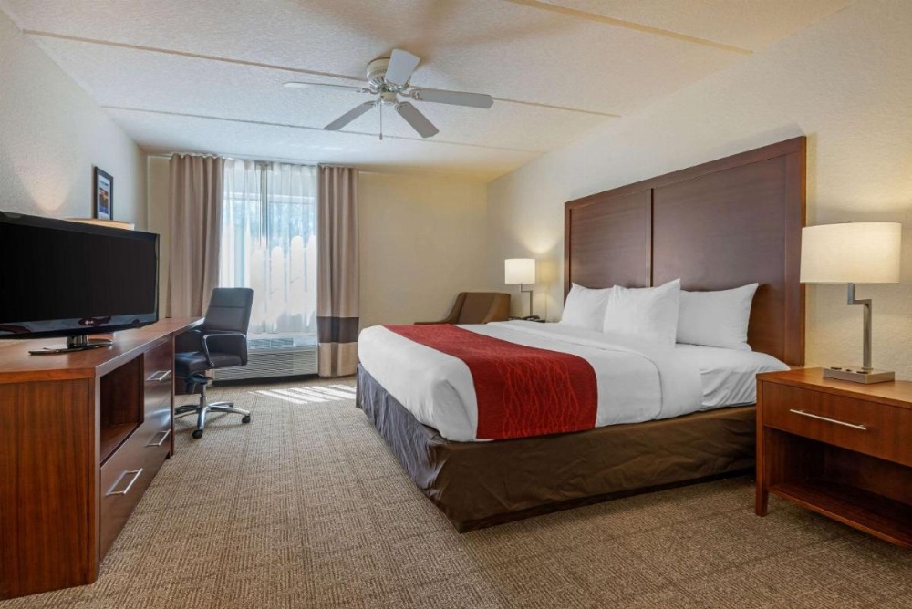 King Room with Sofa Bed - Non-Smoking